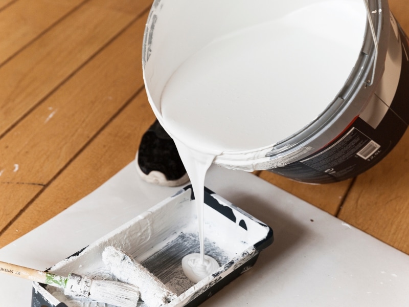 paint and brush setup for painting over rendered walls