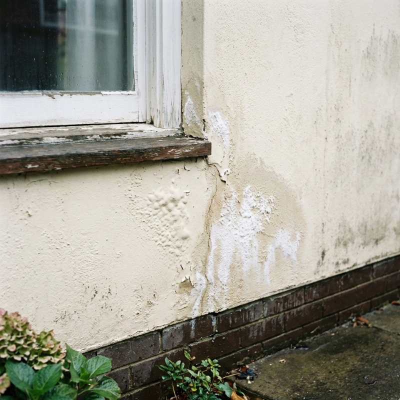 Bubbling paint and light efflorescence near a window corner on a Sydney external wall.